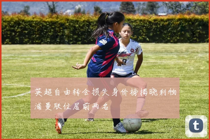 英超自由转会损失身价榜揭晓利物浦曼联位居前两名