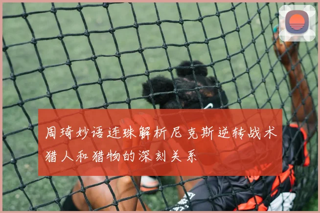 周琦妙语连珠解析尼克斯逆转战术猎人和猎物的深刻关系